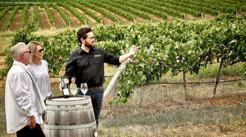 Brokenwood Winery Tour with Wine Tasting in Hunter Valley - A four-hour route from cellar door to barrel hall