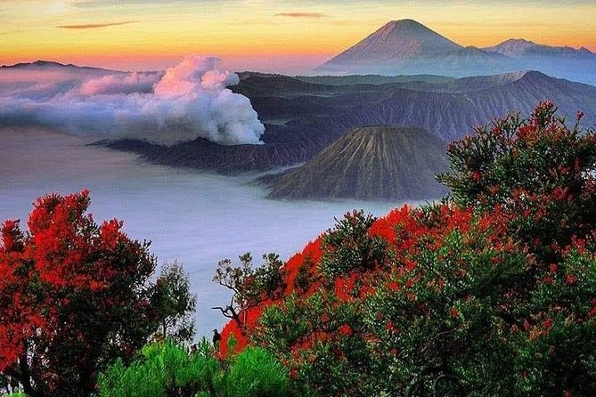 Bromo Ijen Tour From Bali - Tour Highlights