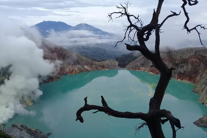 Bromo Ijen Tour From Bali - Traveler Reviews