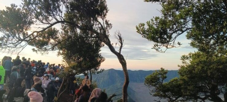 Bromo Mt & Ijen Crater Tour 3D-2N From Jogjakarta - Tour Itinerary Highlights