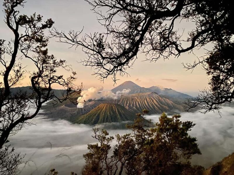 Bromo Sunrise Jeep Tour Included Shuttle From Malang - Good To Know