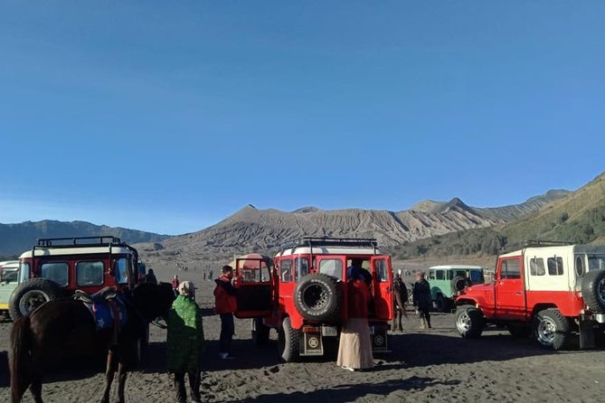 Bromo Sunrise Tour With Start in Bali - Flights Included // 1 Day Tour - Amenities & Meals