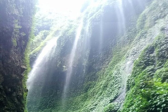Bromo Sunrise Tour With Start in Bali - Flights Included // 1 Day Tour - Requirements & Restrictions
