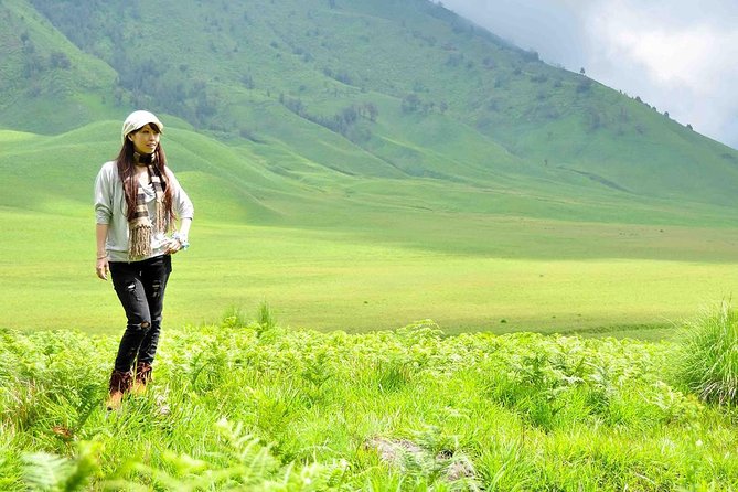 Bromo Tour Package: Midnight Bromo Open Trip From Malang - Group Size and Itinerary