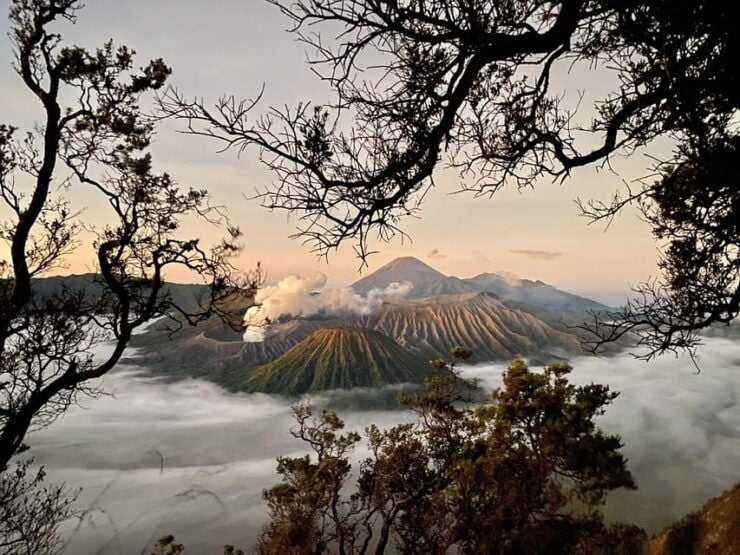 Bromo Tour Package (Shared Group) From Malang - Experience Highlights