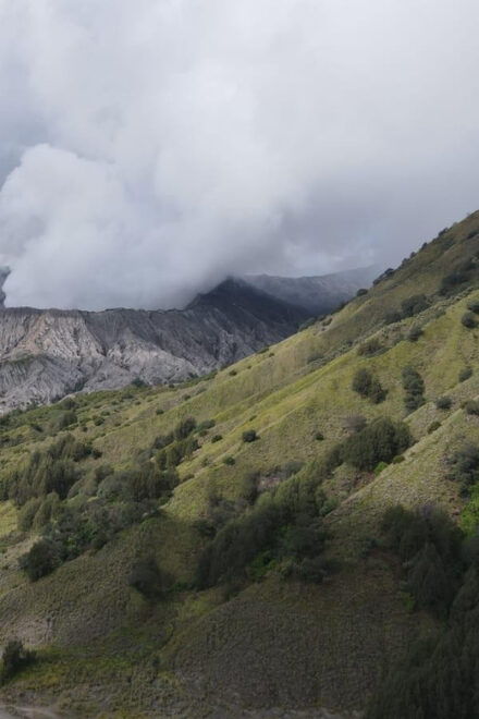 Bromo - Tumpaksewu Waterfall - Ijen From Jogjakarta 4D-3N - Communication Guidelines