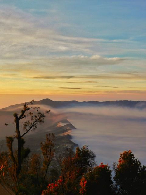 Bromo Volcano & Ijen Blue Fire Trip 3D2N - Full Description