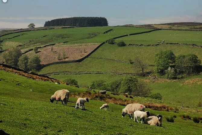 Bronte Country and Yorkshire Dales Private Day Trip From York - Pricing and Guarantee