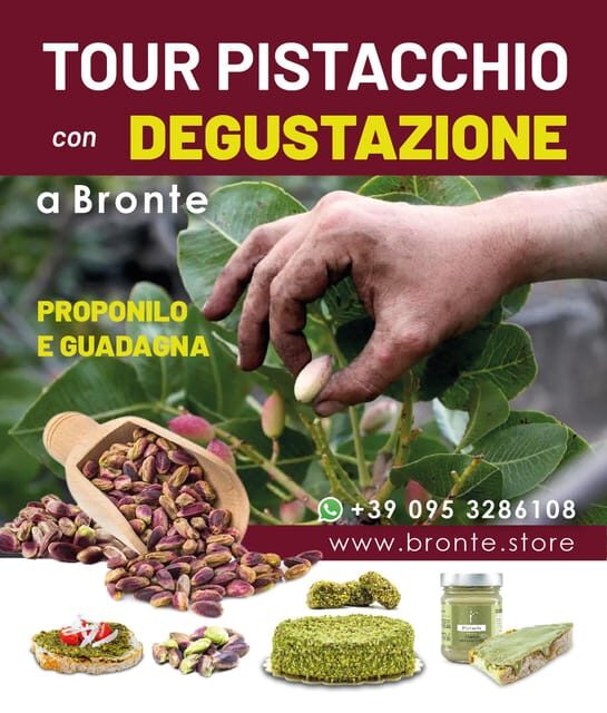 Bronte: Tour e degustazione nelle piantagioni di pistacchi - The Tasting Experience