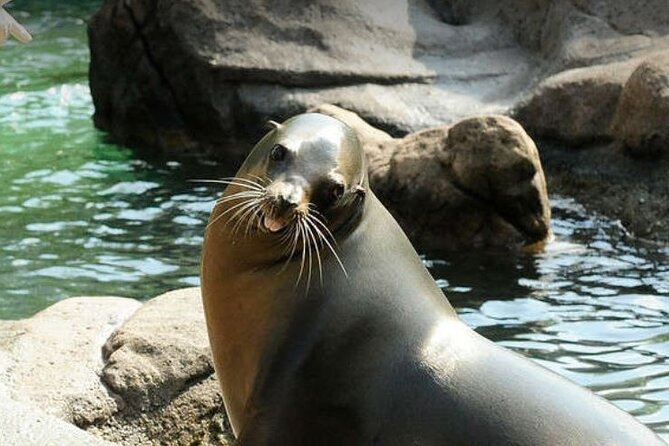 Bronx Zoo Admission Ticket - Admission Ticket Options