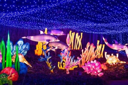 Bronx Zoo Ticket in New York - Season and closing times change the day