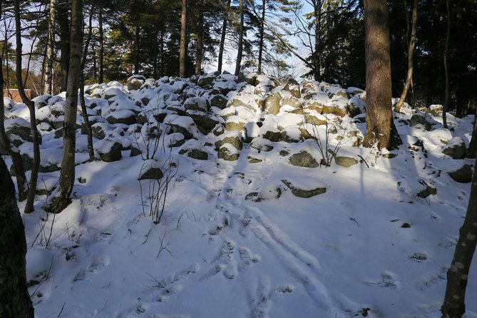Bronze Age Landscape Remains 3h Tour From Stockholm (Private) - Ancient Landmarks
