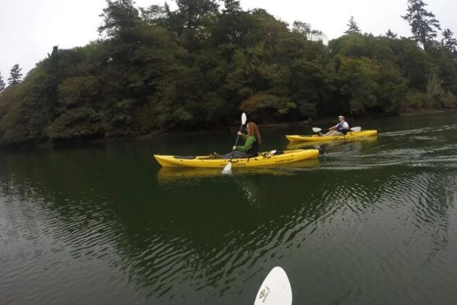 Brookings: Pacific Ocean Kayak Tour - Highlights