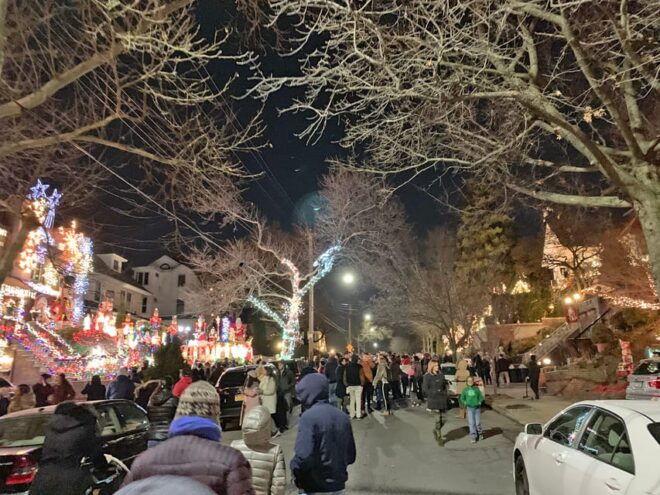 Brooklyn: 1.5-Hour Dyker Heights Christmas Lights Tour - Customer Reviews