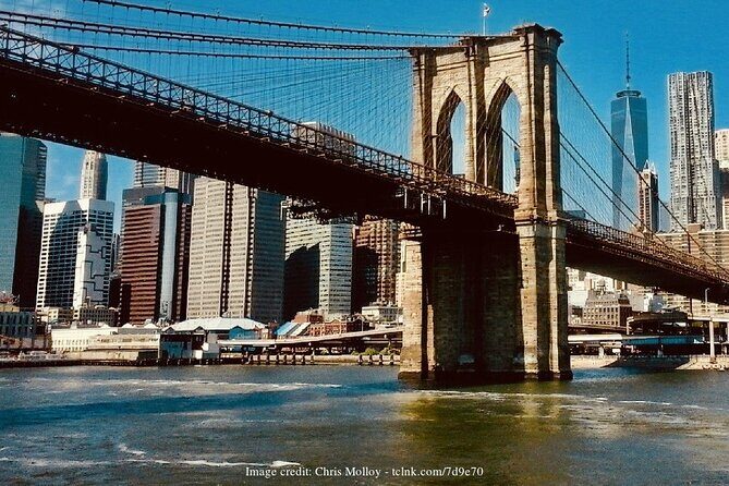 Brooklyn Bridge & DUMBO: Private New York Half-Day Walking Tour - Final Thoughts