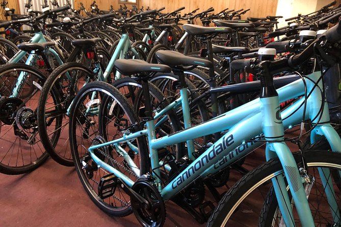Brooklyn Neighborhoods Small-Group Bike Tour - Common Questions