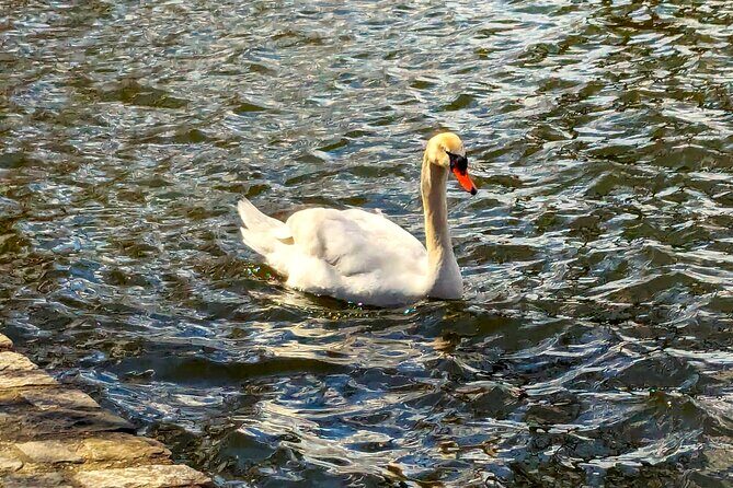 Brooklyns Oasis: Audio Guide to Prospect Park - A Closer Look at the Self-Guided Audio Tour