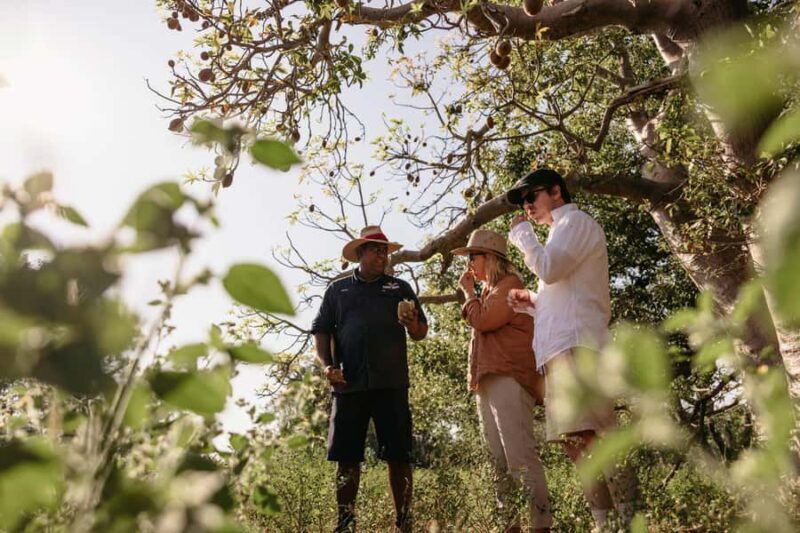 Broome: Cable Beach Indigenous Walking Tour - Music and Cultural Demonstrations