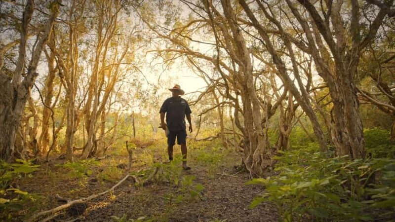 Broome: Cable Beach Indigenous Walking Tour - What makes this tour special?