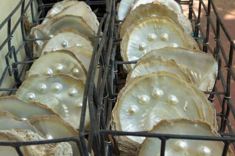 Broome: Dampier Peninsula Tour (Optional Scenic Flight) - Good To Know