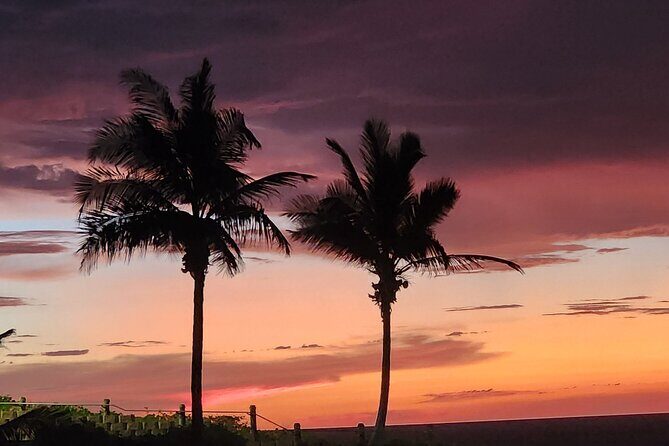 Broome Explorer Self Drive Quest - Insights from Reviewers and Personal Impressions