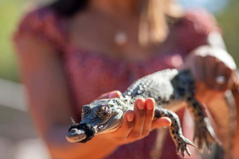 Broome: Matso's Brewery, Museum & Crocodile Park Combo Tour - What to Expect at Each Stop