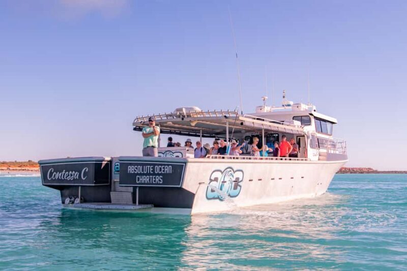 Broome Sunset & Whale Watching Cruise - The Value of This Tour