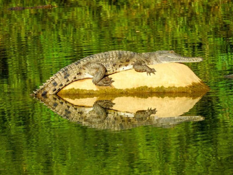 Broome to Darwin: 10 Day Kimberley Tour - Good To Know