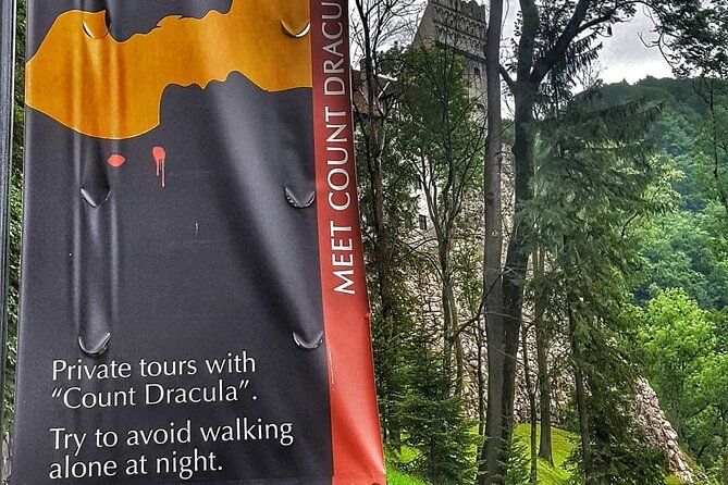 Brown Bear Sanctuary & Draculas Castle & Brasov - Private Tour From Bucharest - Directions