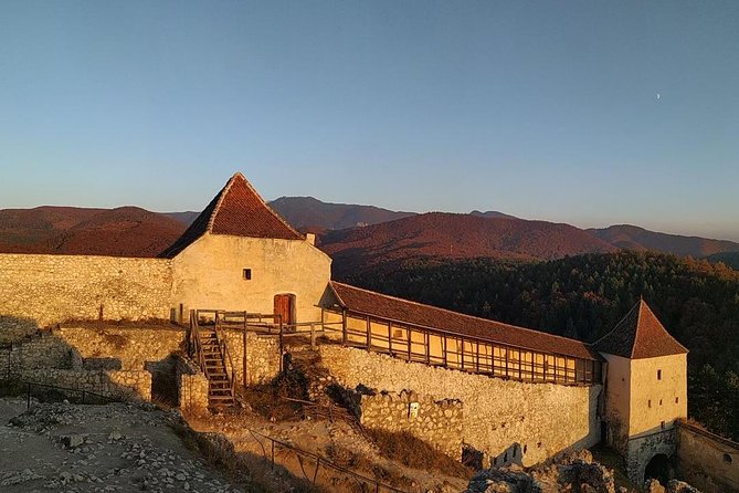 Brown Bear Sanctuary, Rasnov Fortress and Bran Castle Tour From Brasov - Additional Tour Information