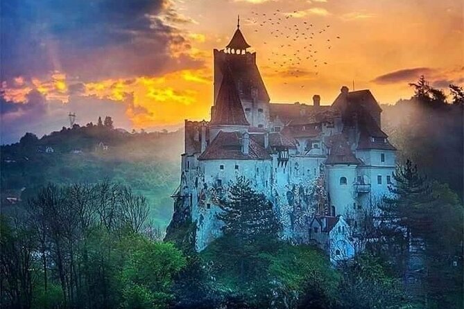Brown Bear Sanctuary, Rasnov Fortress and Bran Castle Tour From Brasov - Frequently Asked Questions