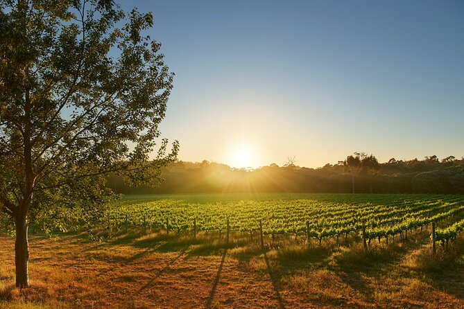Brown Hill Winemakers Walk - Important Reminders
