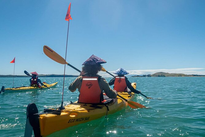 Browns Island Motukorea Sea Kayak Tour - Inclusions and Special Offer