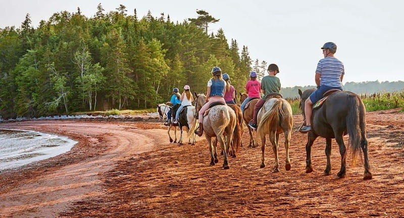 Brudenell: Family-Friendly Horse Ride goes on the Beach - Good To Know: