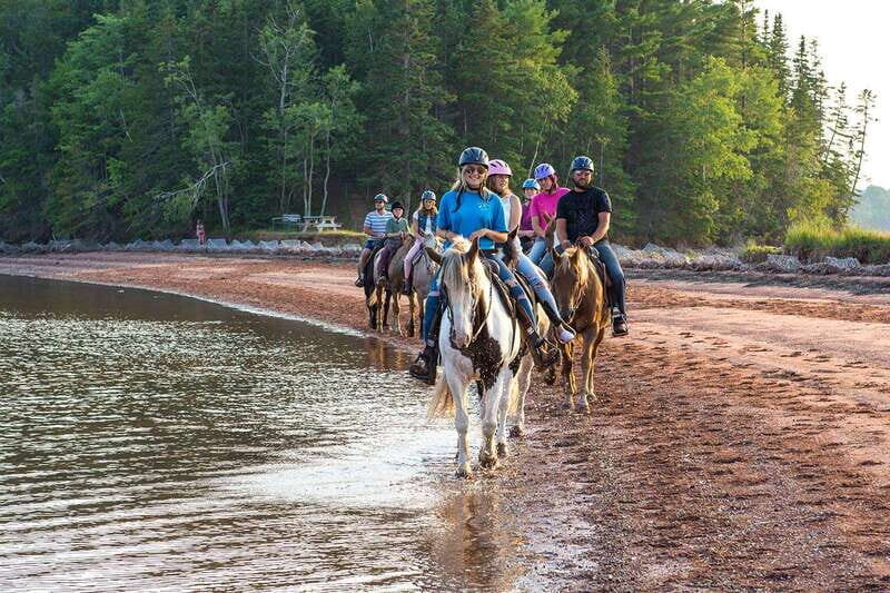 Brudenell: Family-Friendly Horse Ride goes on the Beach - What to Expect from the Horseback Ride