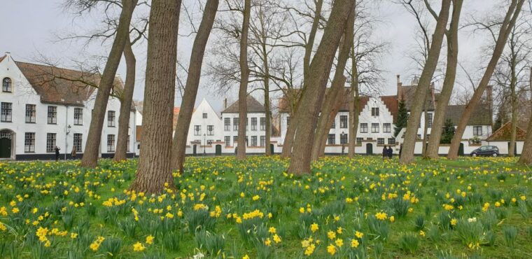 Bruges: 2.5-Hr Walking Tour from train station to Markt - Authentic Guides and Guest Impressions