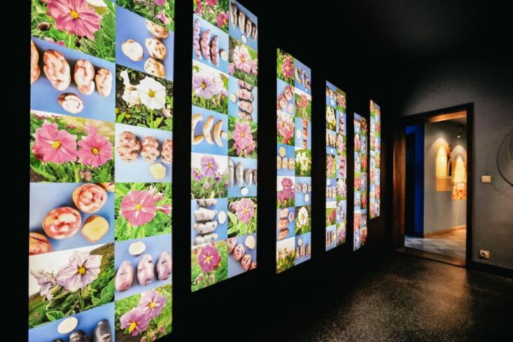 Bruges: Frietmuseum Entry Ticket - Ticket Details