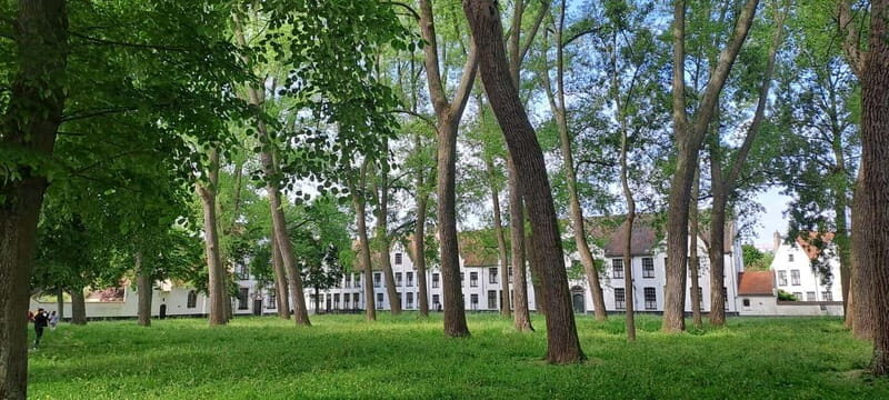 Bruges: highlights & hidden gems - private tour 2 hours - Final Thoughts: Who Will Love This Tour?