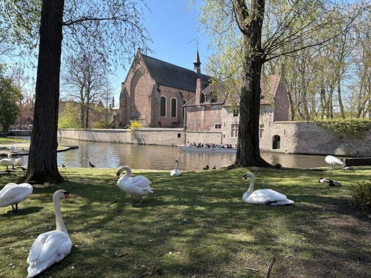 Bruges: highlights & hidden gems - private tour 2 hours - Practical Details & Tips