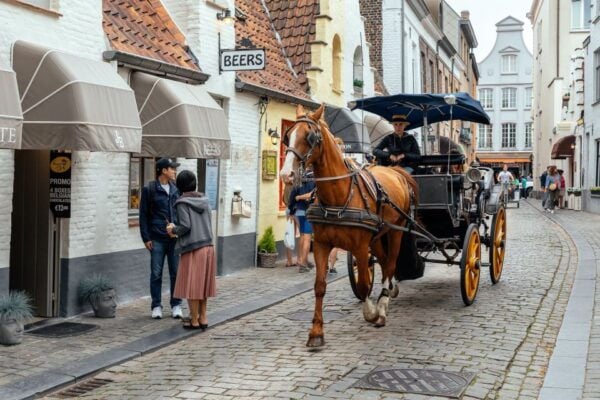 Bruges: Private Tour With Locals – Highlights & Hidden Gems - The Sum Up