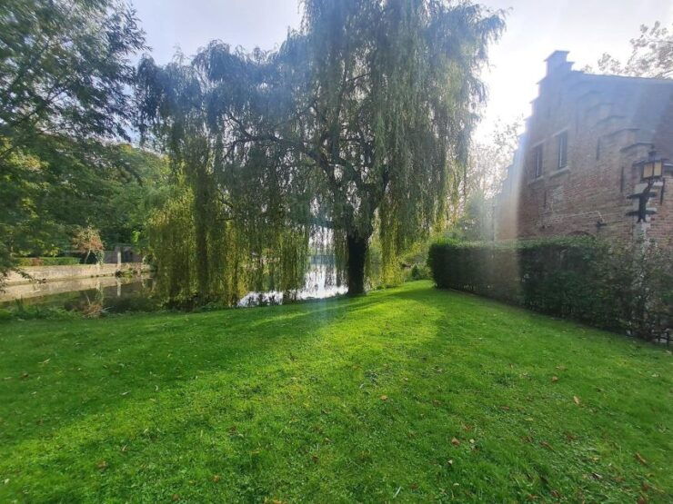 Bruges: Private Walking Tour, Local Professional Guide - Activity Details