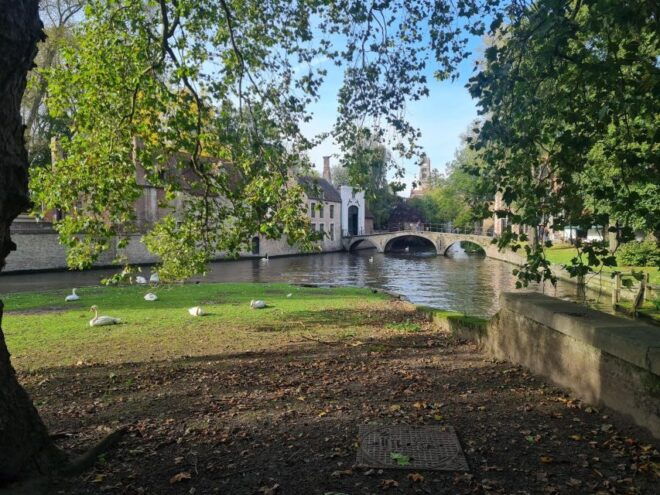 Bruges: Private Walking Tour, Local Professional Guide - Highlights of the Tour