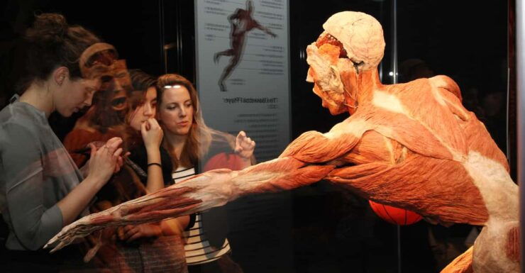 Bruges: Ticket to the Body Worlds Expo at the Oud Sint-Jan Site - Key Points