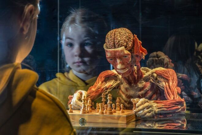 Bruges: Ticket to the Body Worlds Expo at the Oud Sint-Jan Site - Health and Safety Measures