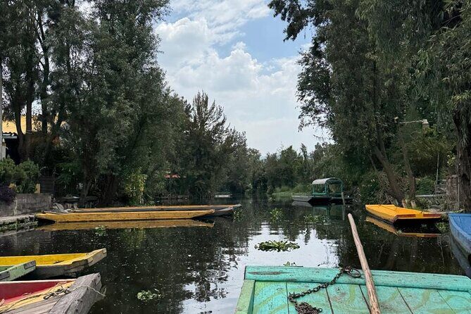 Brunch at Xochimilco, México City. - An In-Depth Look at the Experience