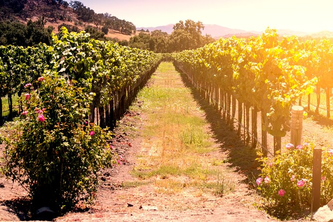 Brunch High Tea and Winery Tour - High Tea Experience