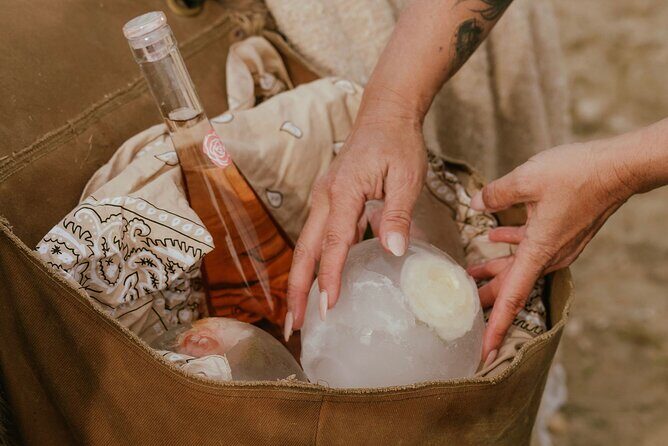 Brunch with Mini Rescue Burros in Southern California - Good To Know