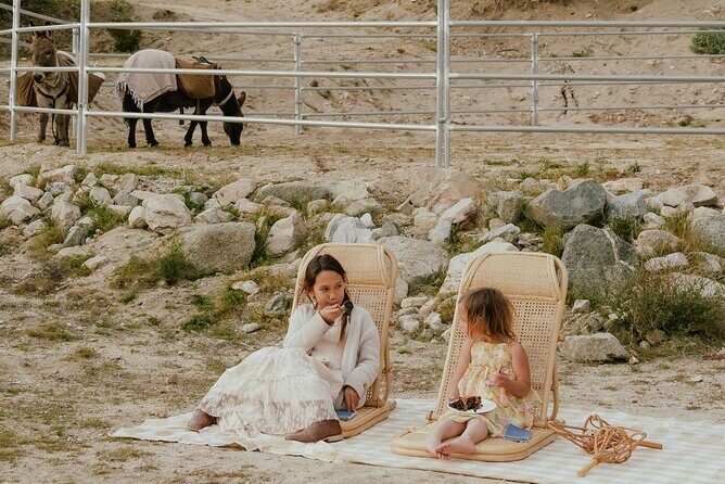 Brunch with Mini Rescue Burros in Southern California - An In-Depth Look at the Experience