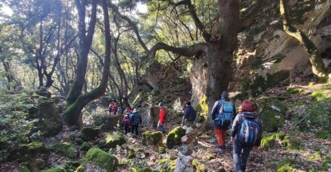 Bruncu Casteddu: Hiking Guided Tour Close Ulassai Village - Booking Information