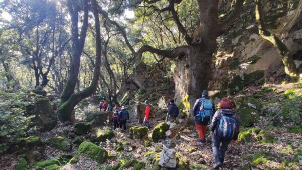 Bruncu Casteddu: Hiking Guided Tour Close Ulassai Village - Frequently Asked Questions